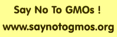 Say No Sticker