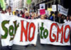 Say No To GMOs!